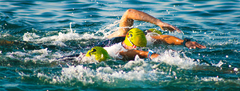Swimming in a pack